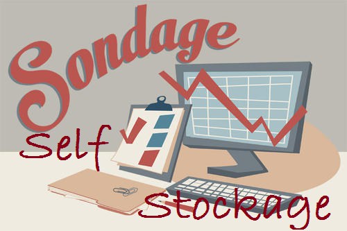 sondage 3 self stockage france 2015